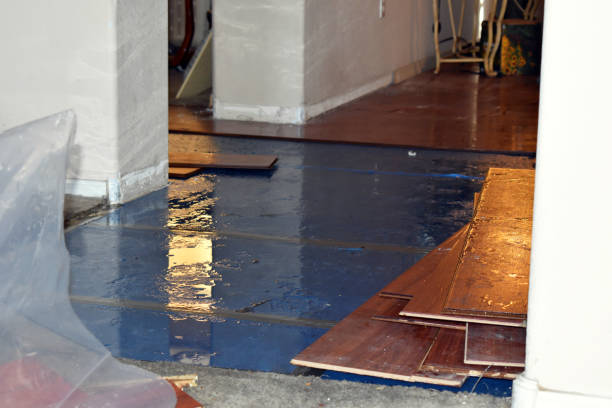 Professional Sewage Cleanup technician working in Peru, IN